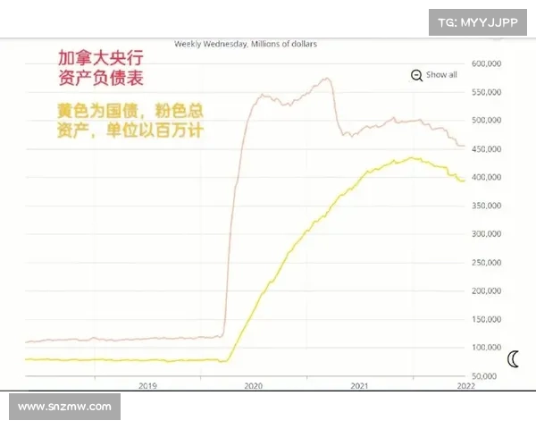 加拿大28走势分析与预测 探讨未来趋势与策略应对 加拿大28走势分析与预测 探讨未来趋势与策略应对